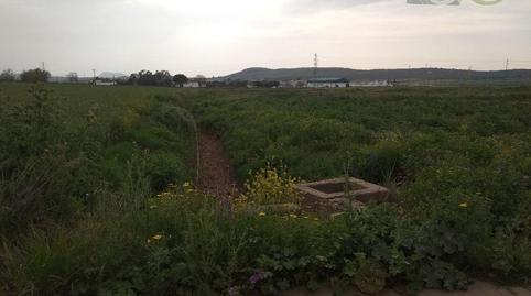 Foto 5 de Residencial en venda a Ctra. de Antequera, Bobadilla - Bobadilla Estación - La Joya, Antequera