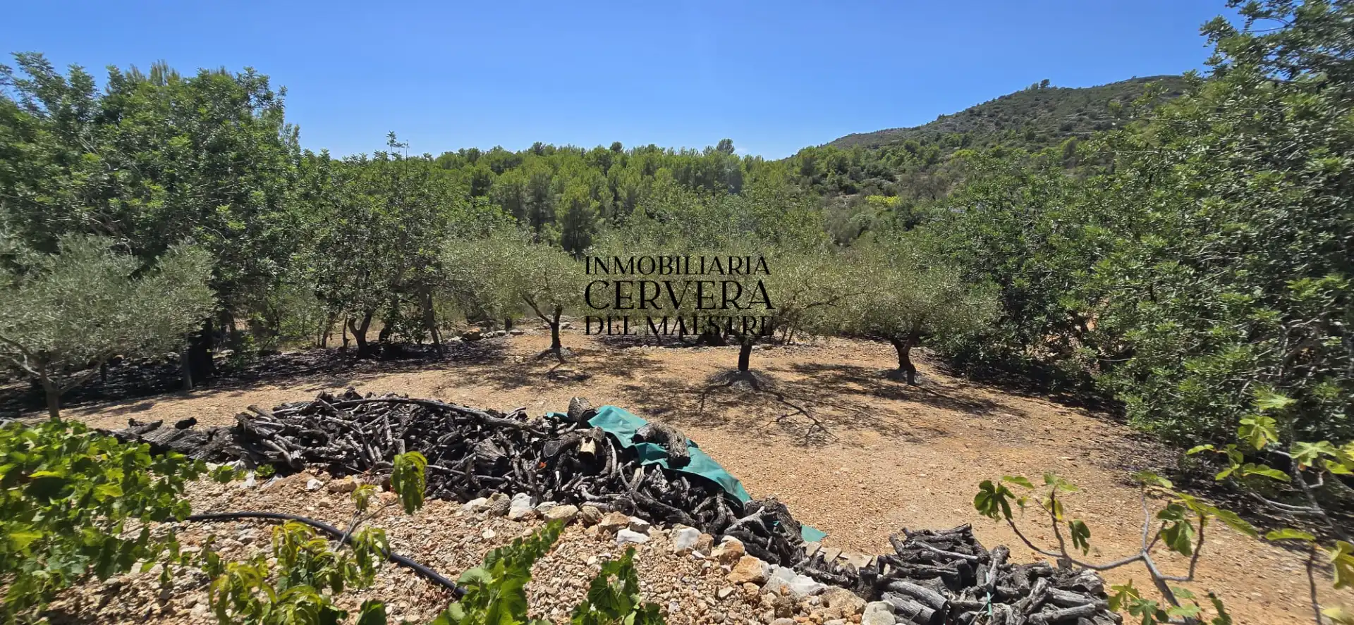 Rural land for sale in Vía Po Polígono 17 60, imagen 31