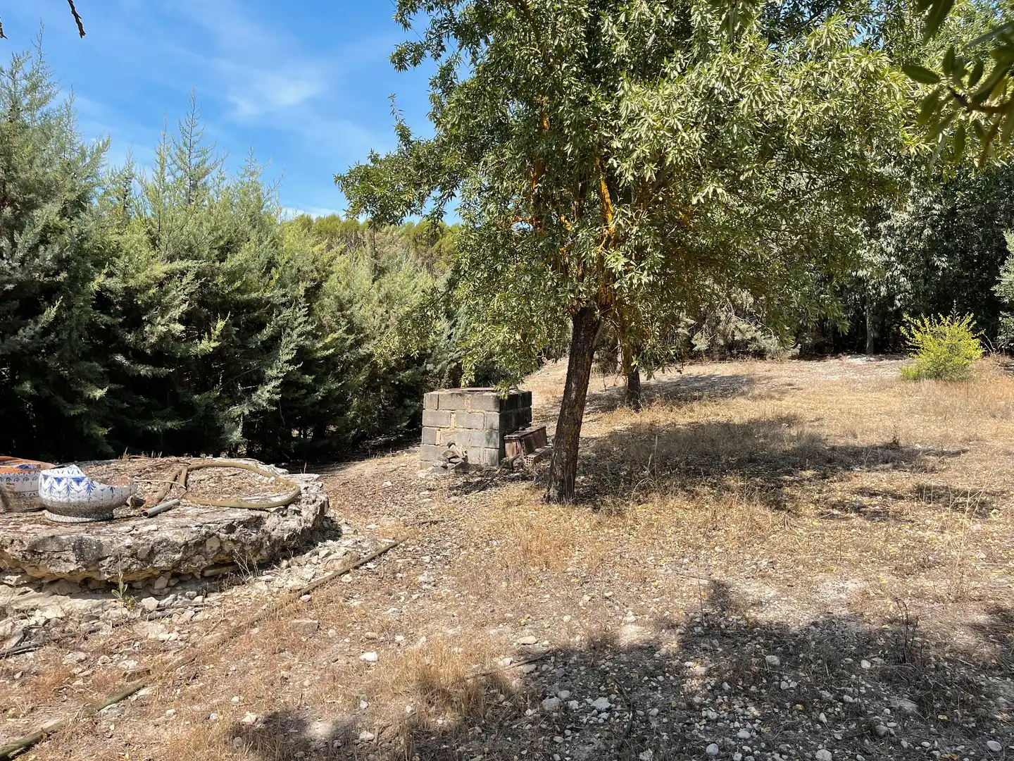 Terrenos y solares en venta en Úbeda, imagen 5