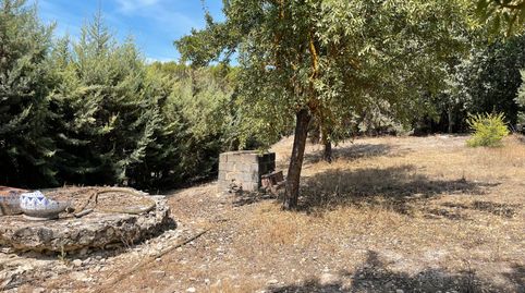 SE VENDE PARCELA RÚSTICA EN SAN BARTOLOME, immagine 5