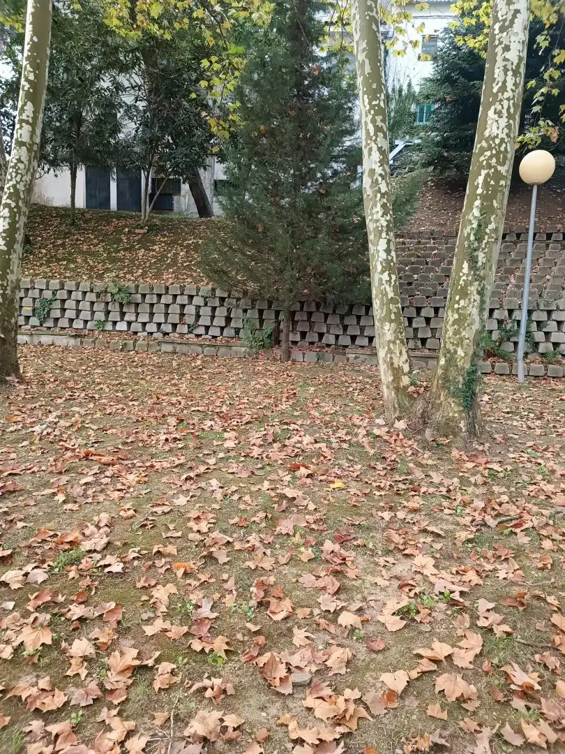 Dúplex de lloguer a Gualba