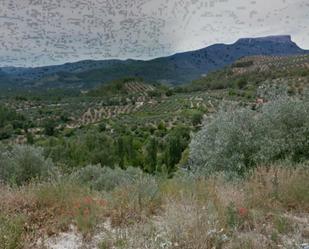 Grundstücke zum verkauf in Cotillas