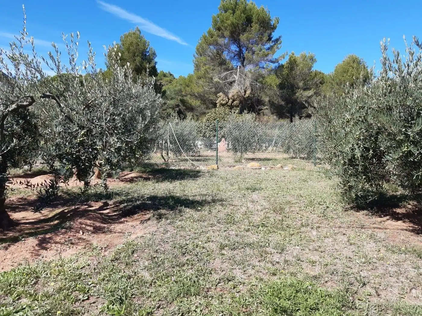 Residential land for sale in Carrer del Vapor, imagen 3