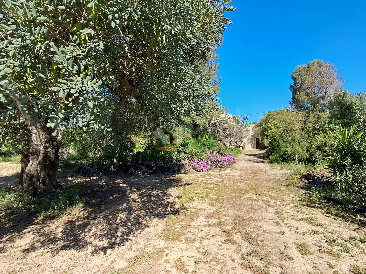 House with garden for sale in Ponent, imagen 2