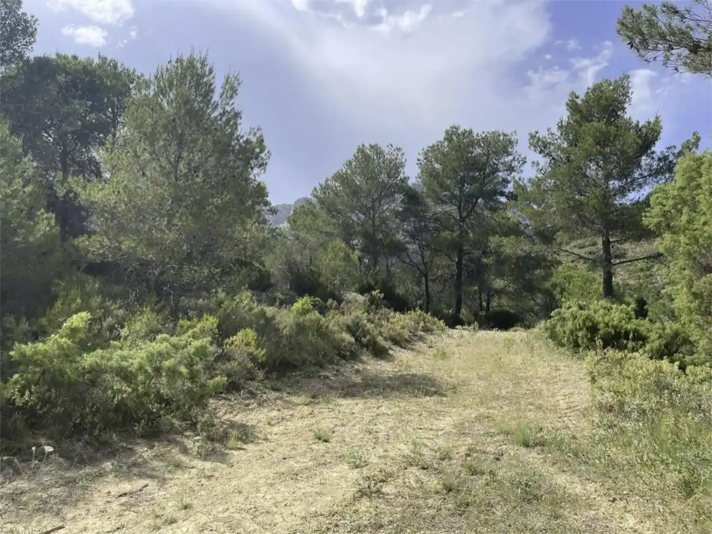 Country homes for sale in Confrides