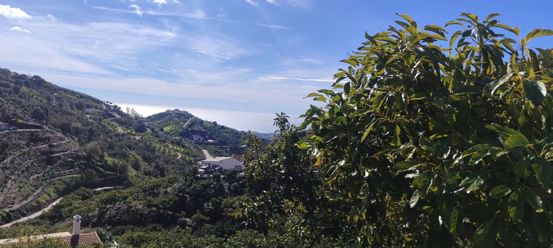 Casa rústica en venta en Torrox Pueblo, imagen 7