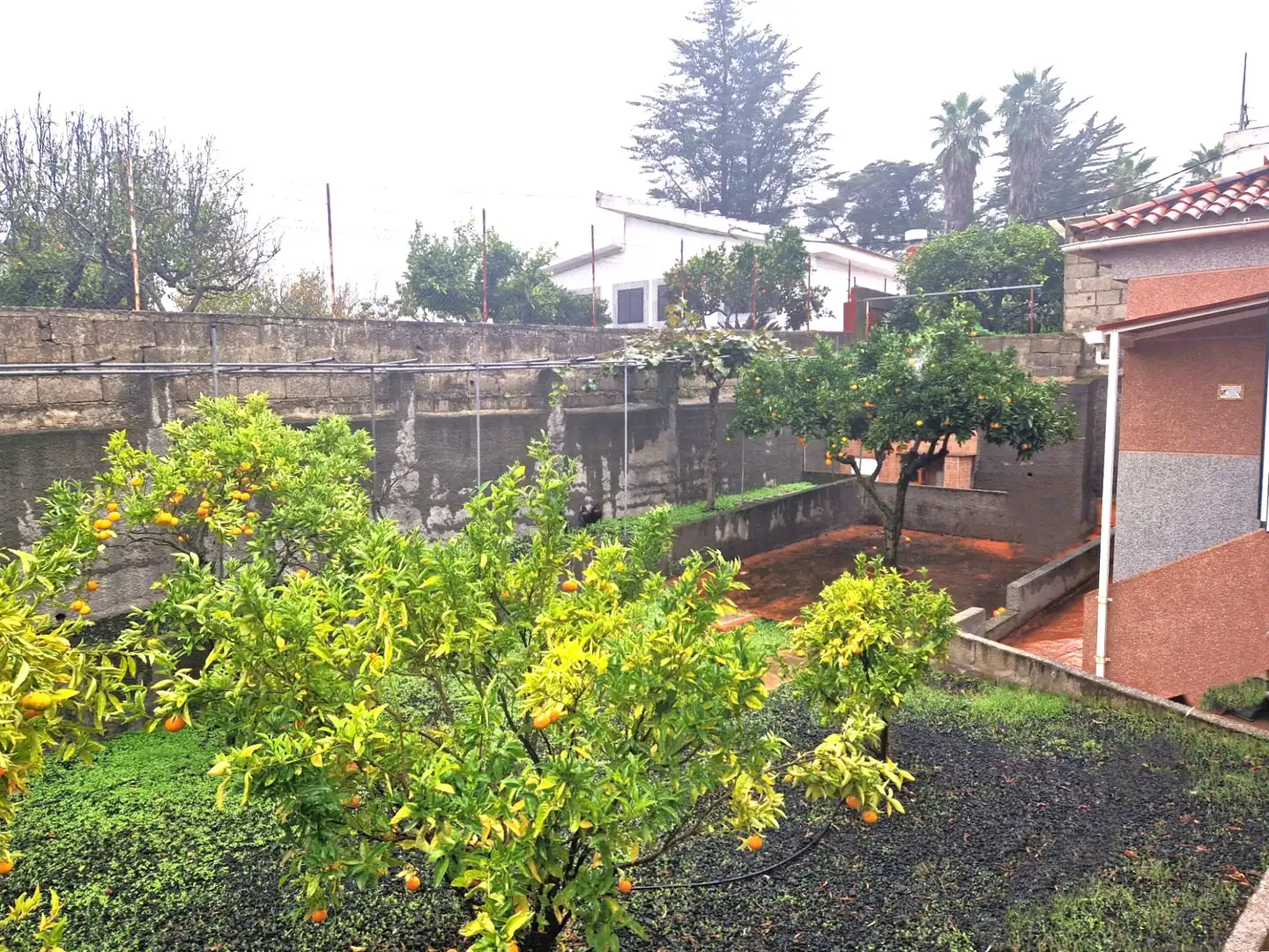 Jardín de Casa o chalet en venta en Vega de San Mateo con Jardín privado, Terraza y Internet