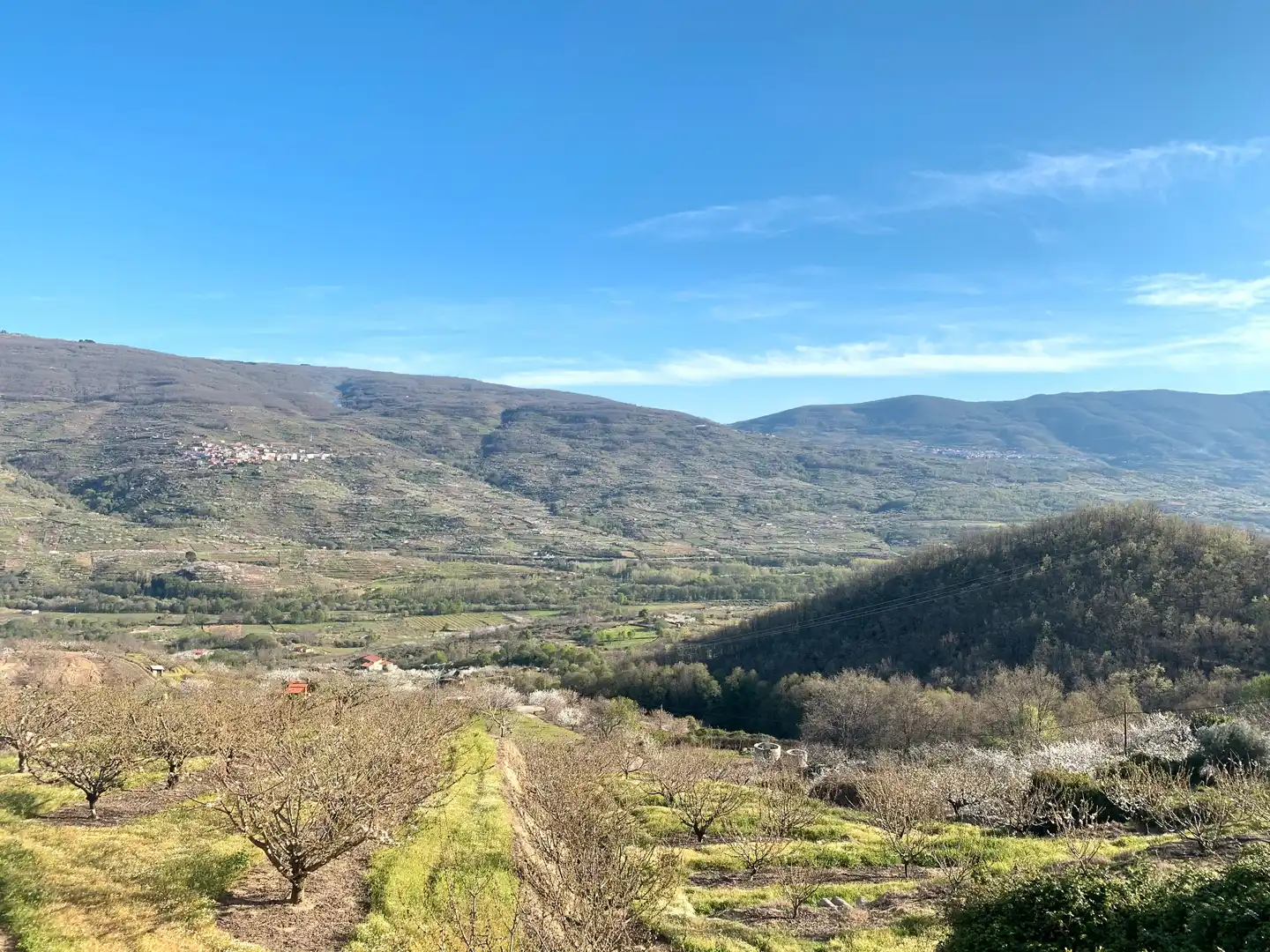 Country homes for sale in N/A, Rebollar (Cáceres)