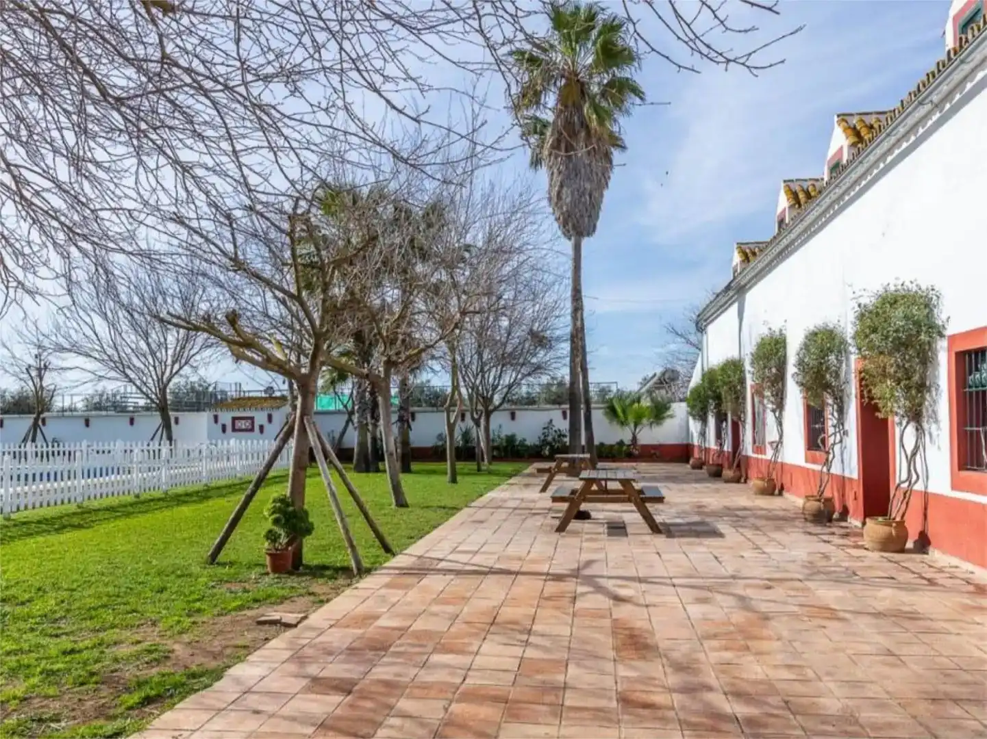 Jardí de Casa o xalet en venda en Carmona amb Jardí privat, Traster i Piscina