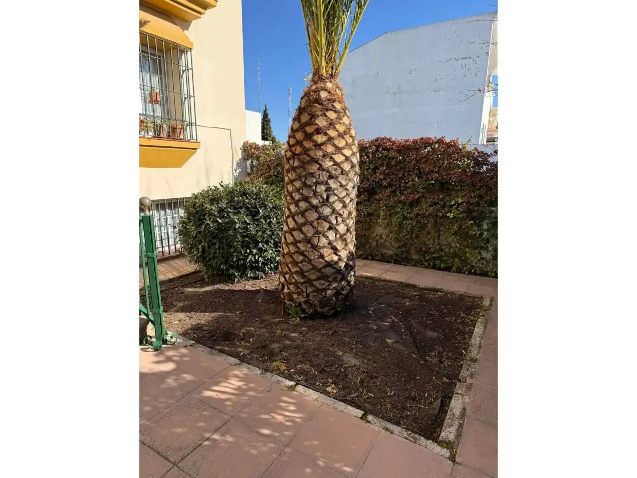 Garden of Houses for sale in Úbeda  with Heating, Private garden and Terrace