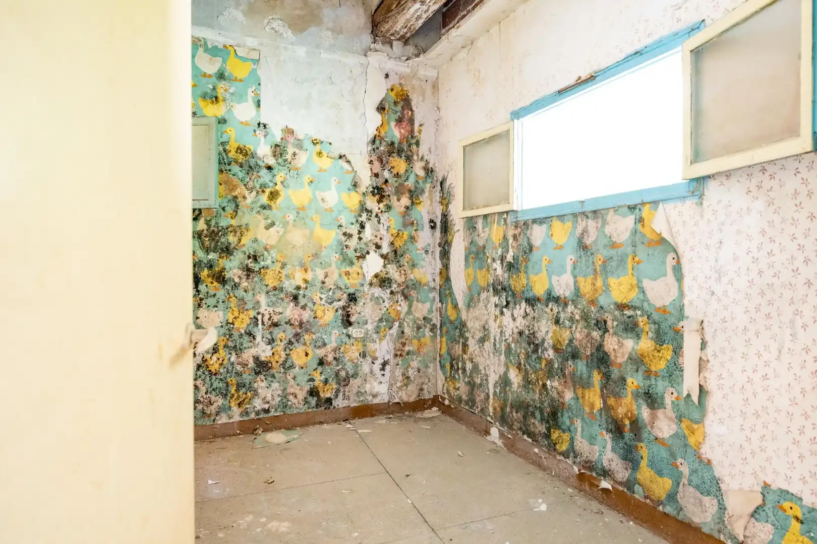Autres à vendre à Carrer Baix del Tura, imagen 4