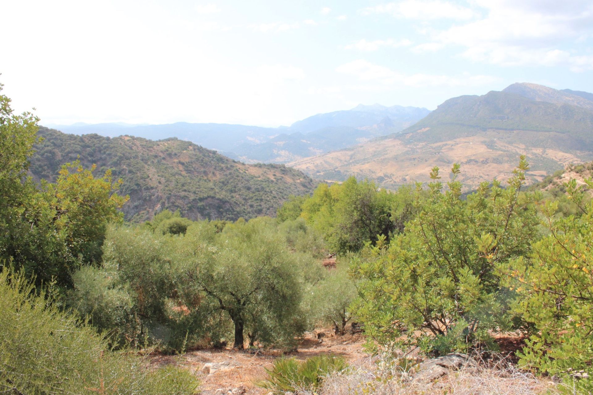 Exterior view of Country house for sale in El Gastor  with Private garden