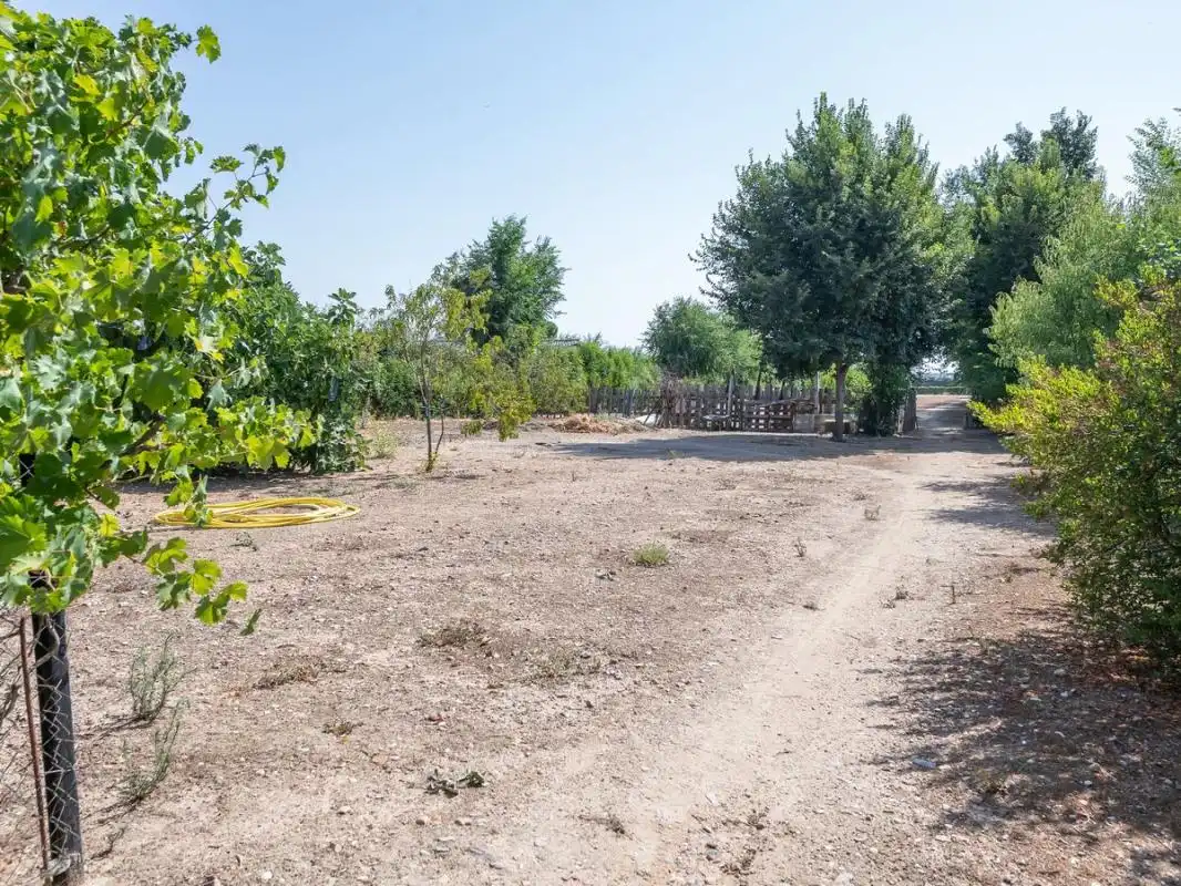 Xalet amb terrassa en venda a Cam. Viejo del Casar, imagen 22