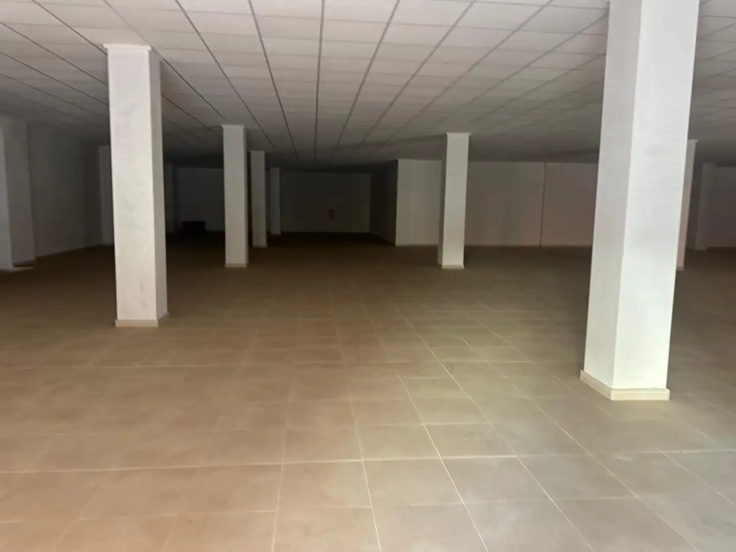 Gewerbefläche zur Miete in Monóvar  / Monòver, imagen 6