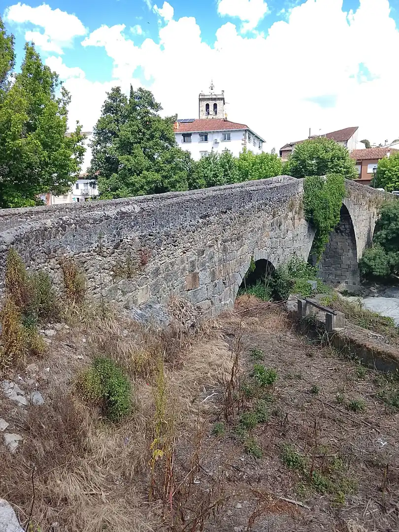 Maison à vendre à Arenas de San Pedro, imagen 35