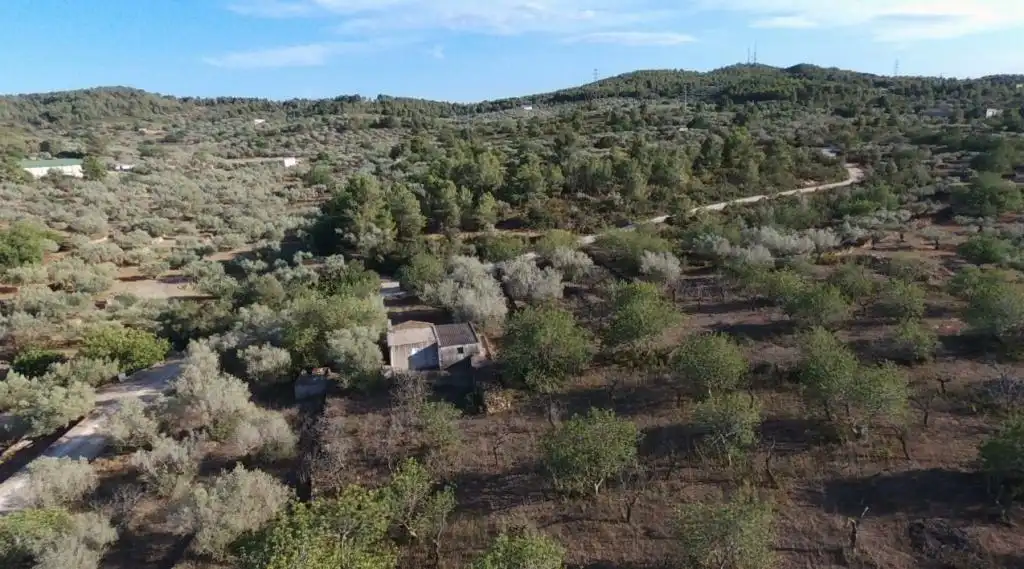 Finca rústica en venda en El Perelló