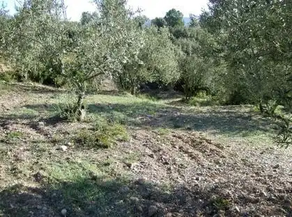 Lands and plots for sale in Lugar Can Segarra, imagen 8
