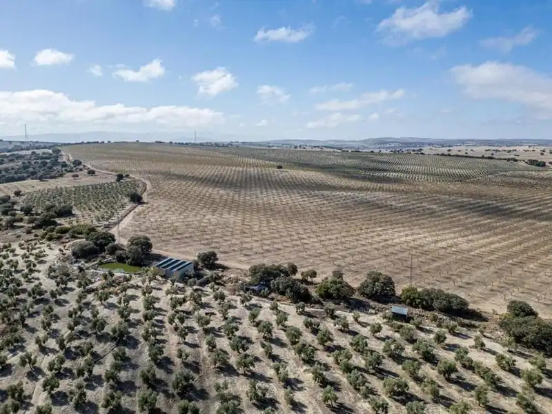 Land for sale in Alamedilla