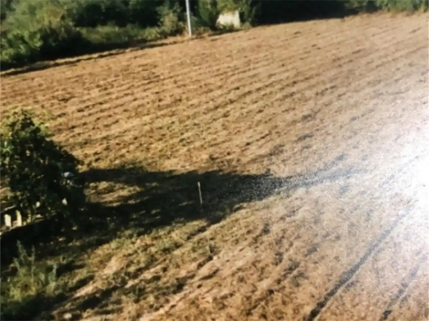 Finca rústica en venda en O Rosal  