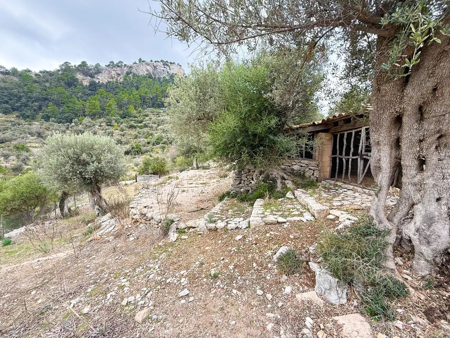 Maison rustique avec jardin à vendre à Bunyola, imagen 54