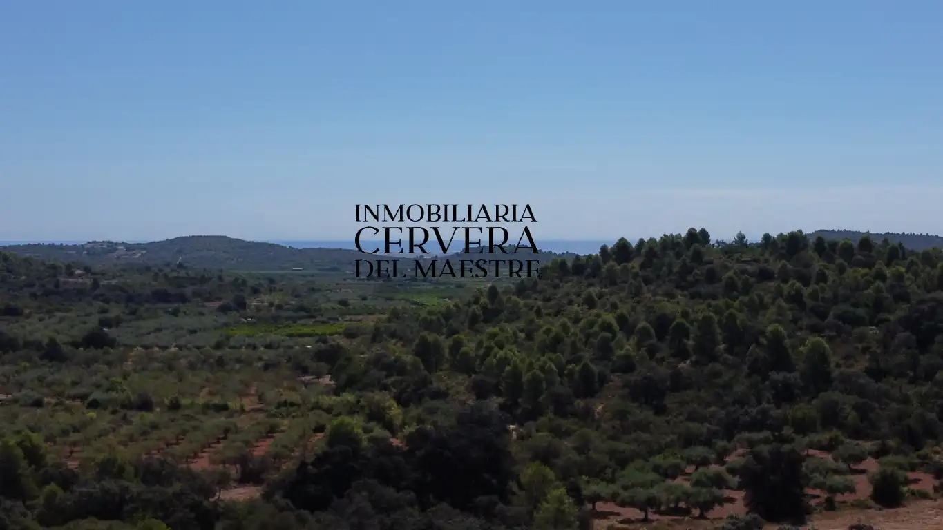 Terreno rustico in vendita a Cervera del Maestre, imagen 13