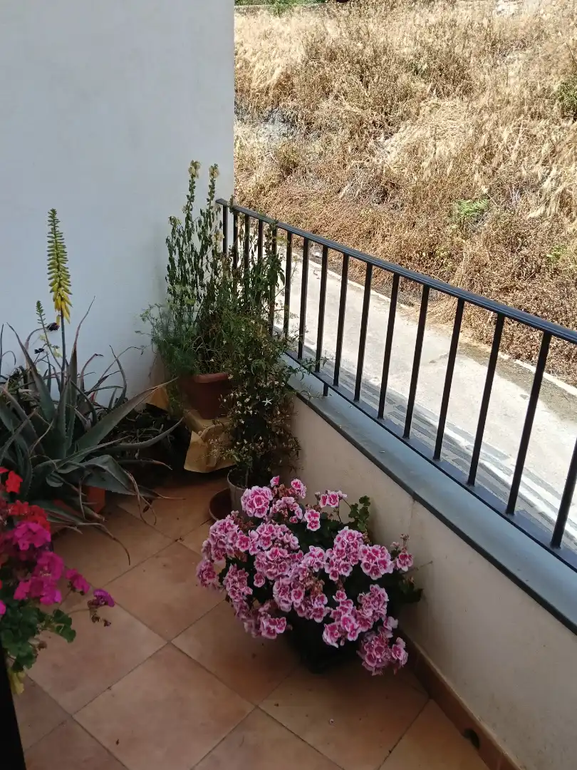 Balcony of Apartments for sale in Alpujarra de la Sierra  with Heating, Terrace and Storage room