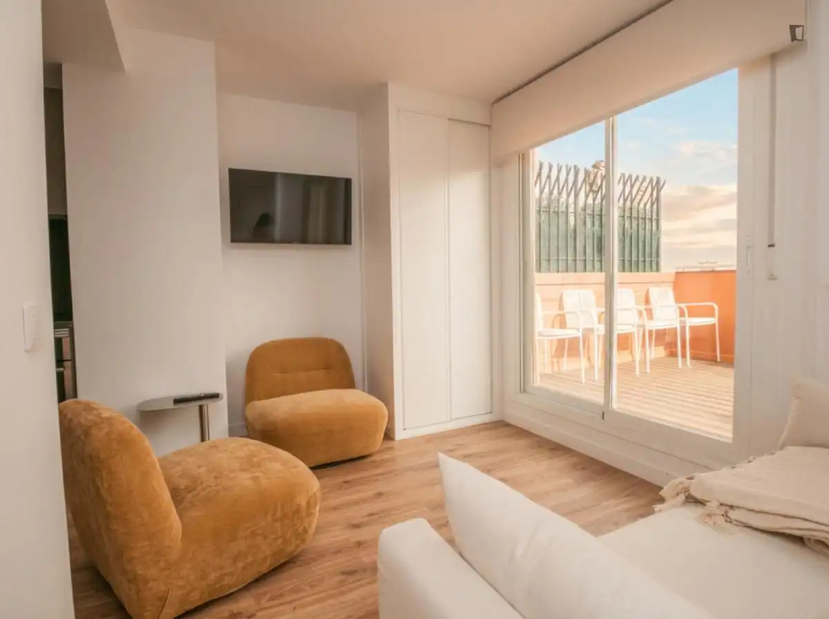 Sala de estar de Estudio de alquiler en Madrid con Aire acondicionado, Calefacción y Amueblado