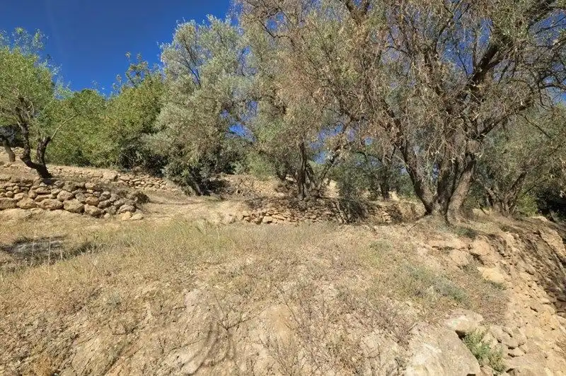 Terreno rustico in vendita a El Pinar, imagen 17