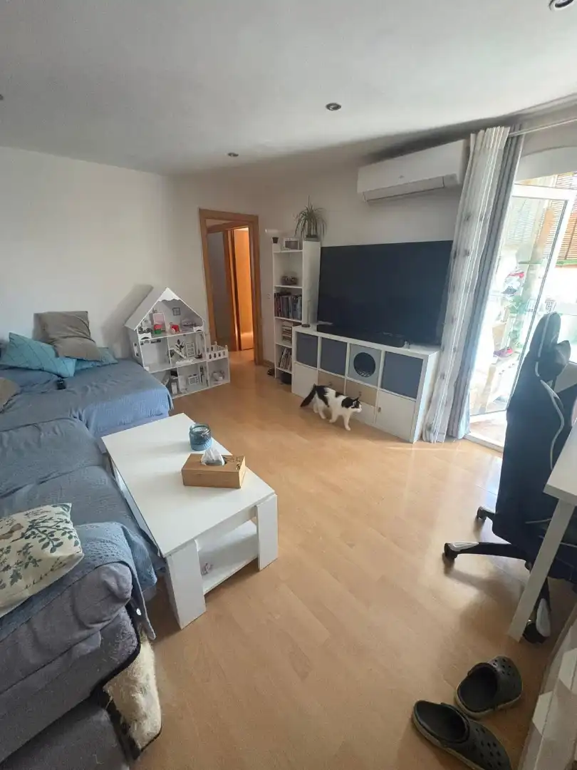 Sala d'estar de Pis en venda en Olesa de Montserrat amb Aire condicionat, Calefacció i Parquet