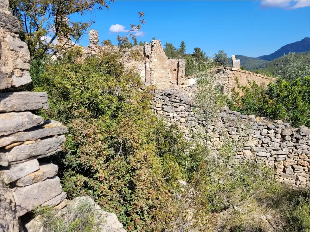 Terrain rustique à vendre à Benifallet, imagen 3