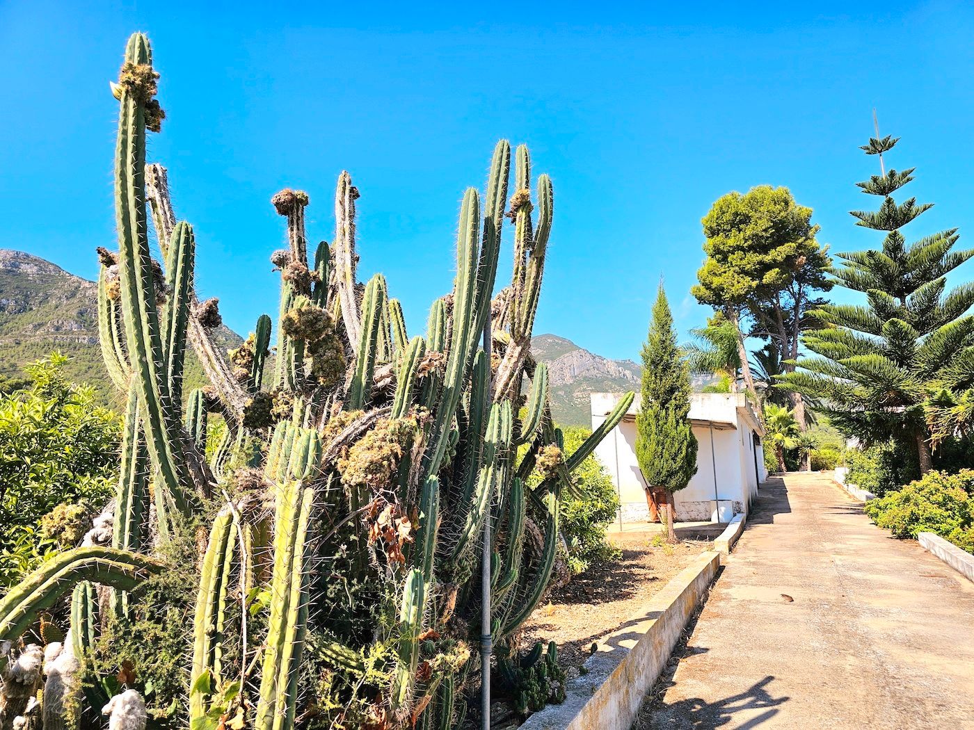 Garten von Country house zum verkauf in Tavernes de la Valldigna