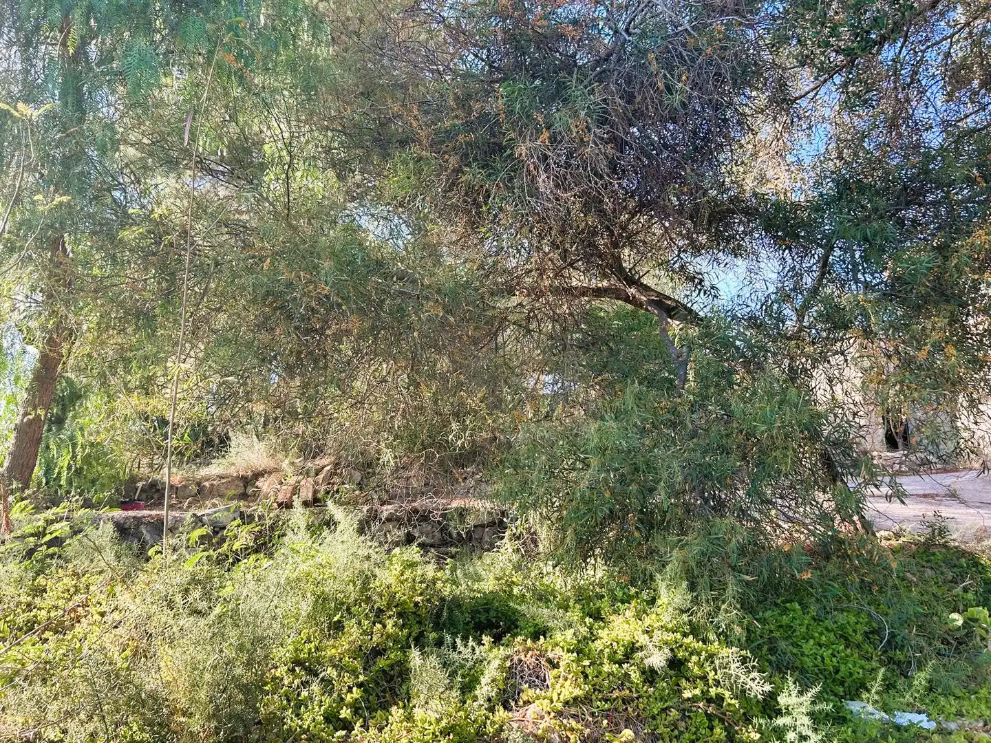 Casa o xalet en venda en Olocau amb Aire condicionat, Terrassa i Moblat