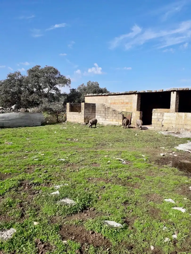 Rural land for sale in Fuente Obejuna, imagen 11