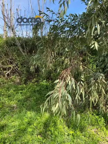 Rustikales Grundstück zum Verkauf in Camino Capilla, imagen 10