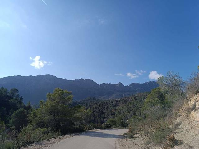 Terreno residencial en Venta en Llíber