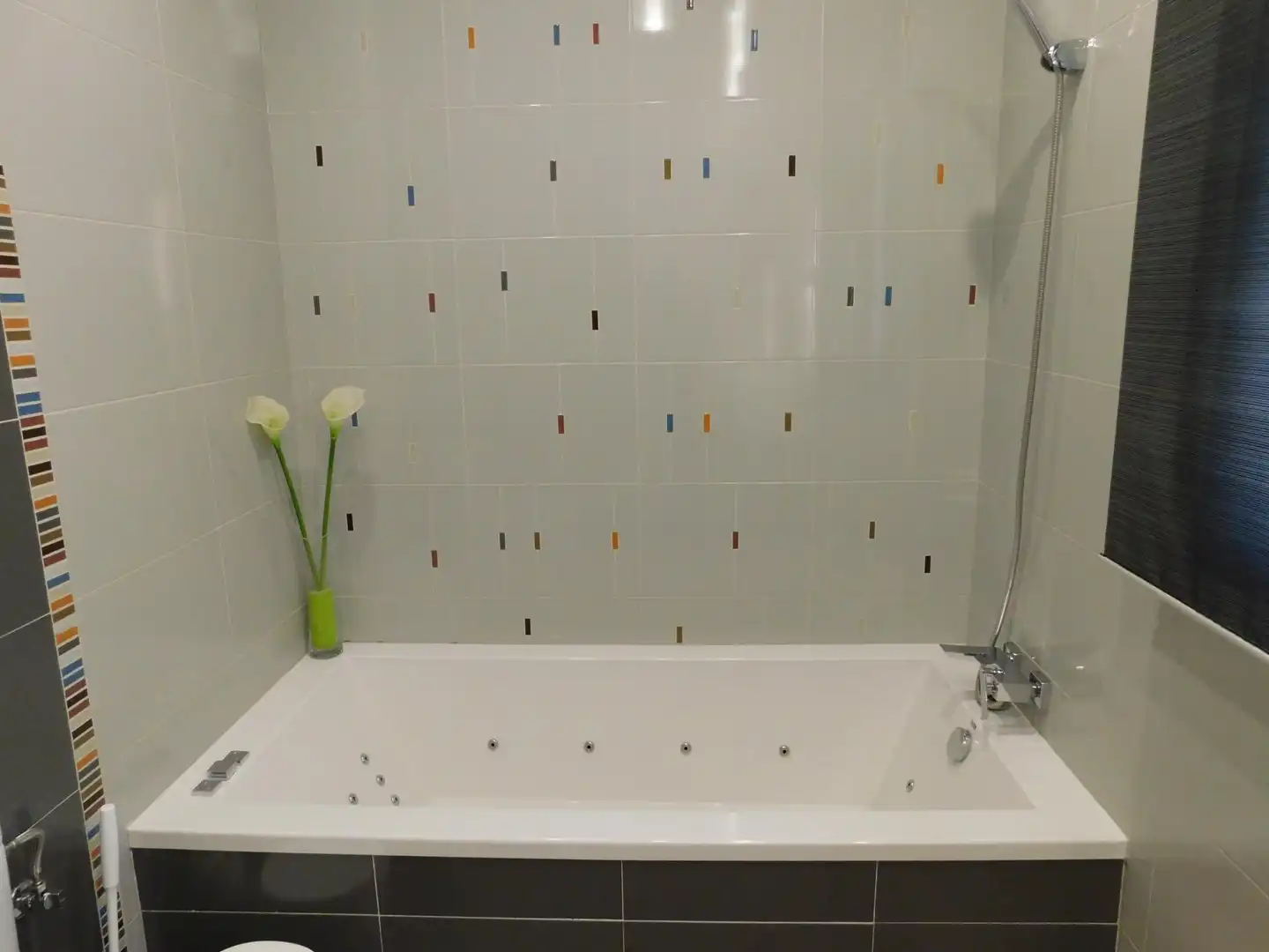 Baño de Casa o chalet en venta en Alameda de la Sagra