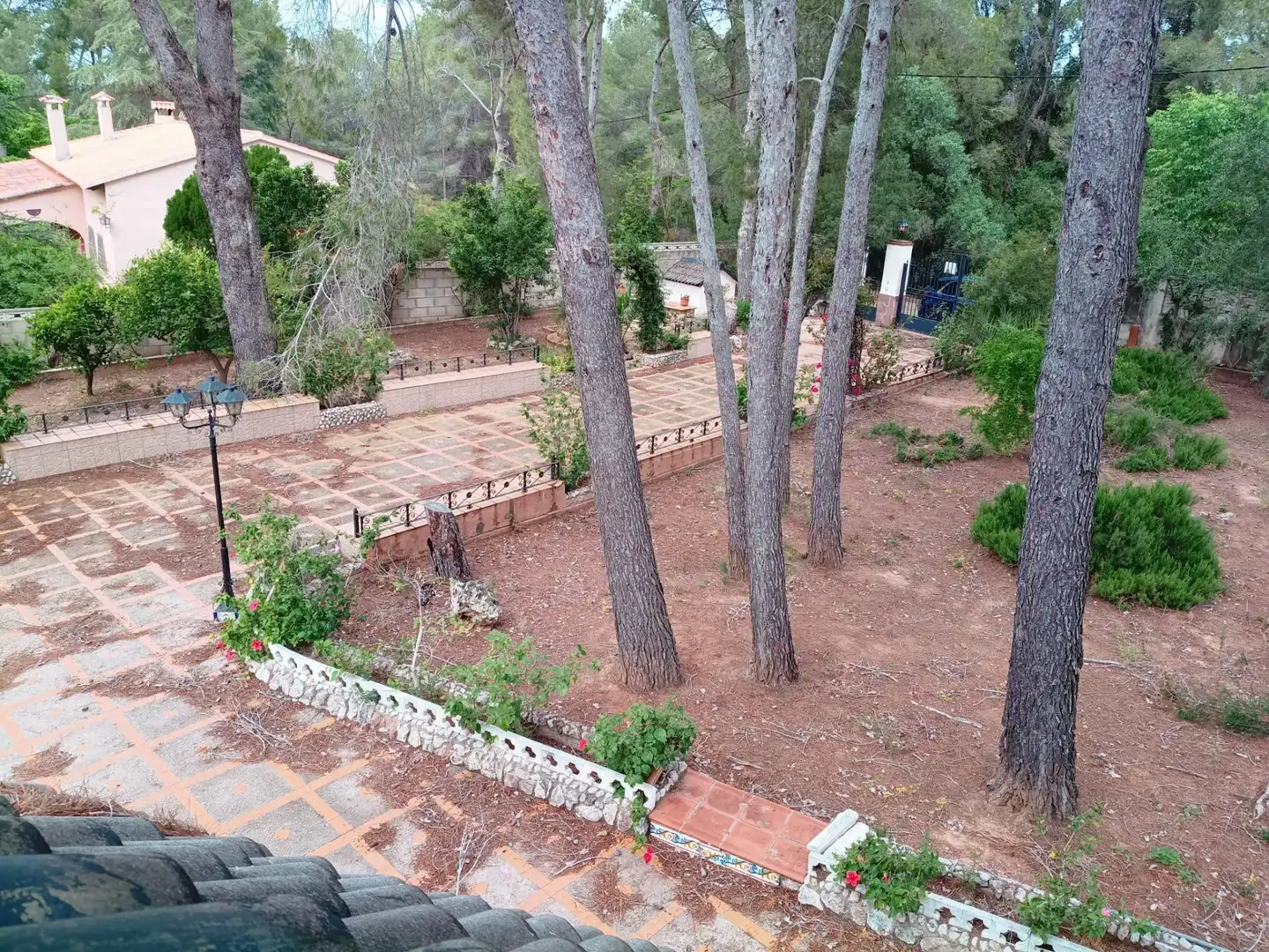 Jardín de Casa o chalet en venta en Alzira con Jardín privado y Terraza