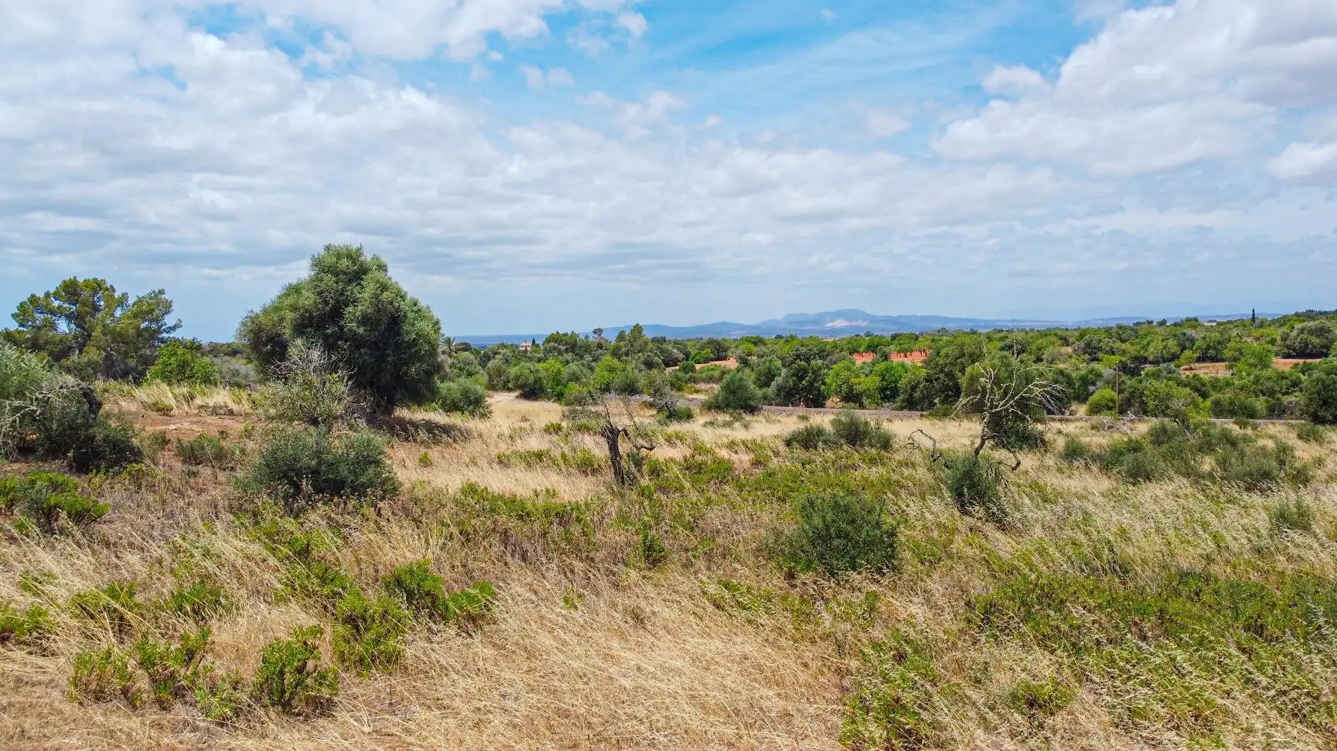 Lands and plots for sale in Felanitx Poble, imagen 13