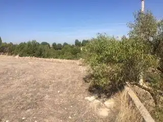 Terreny residencial en venda a Cervantes Saavedra, imagen 6