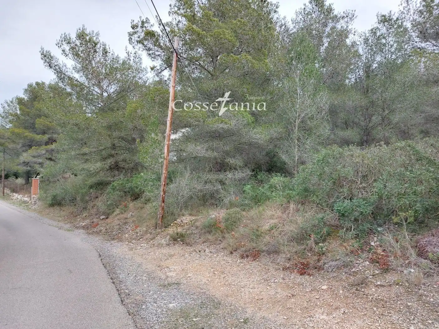Rural land for sale in avet de l'  en  la masieta, imagen 8