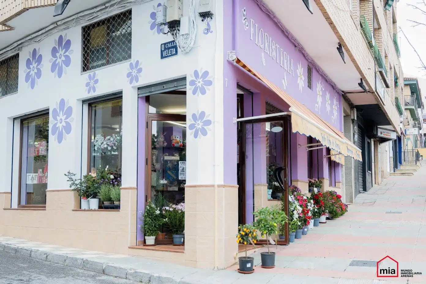 Locale commerciale in vendita a Íllora, imagen 10