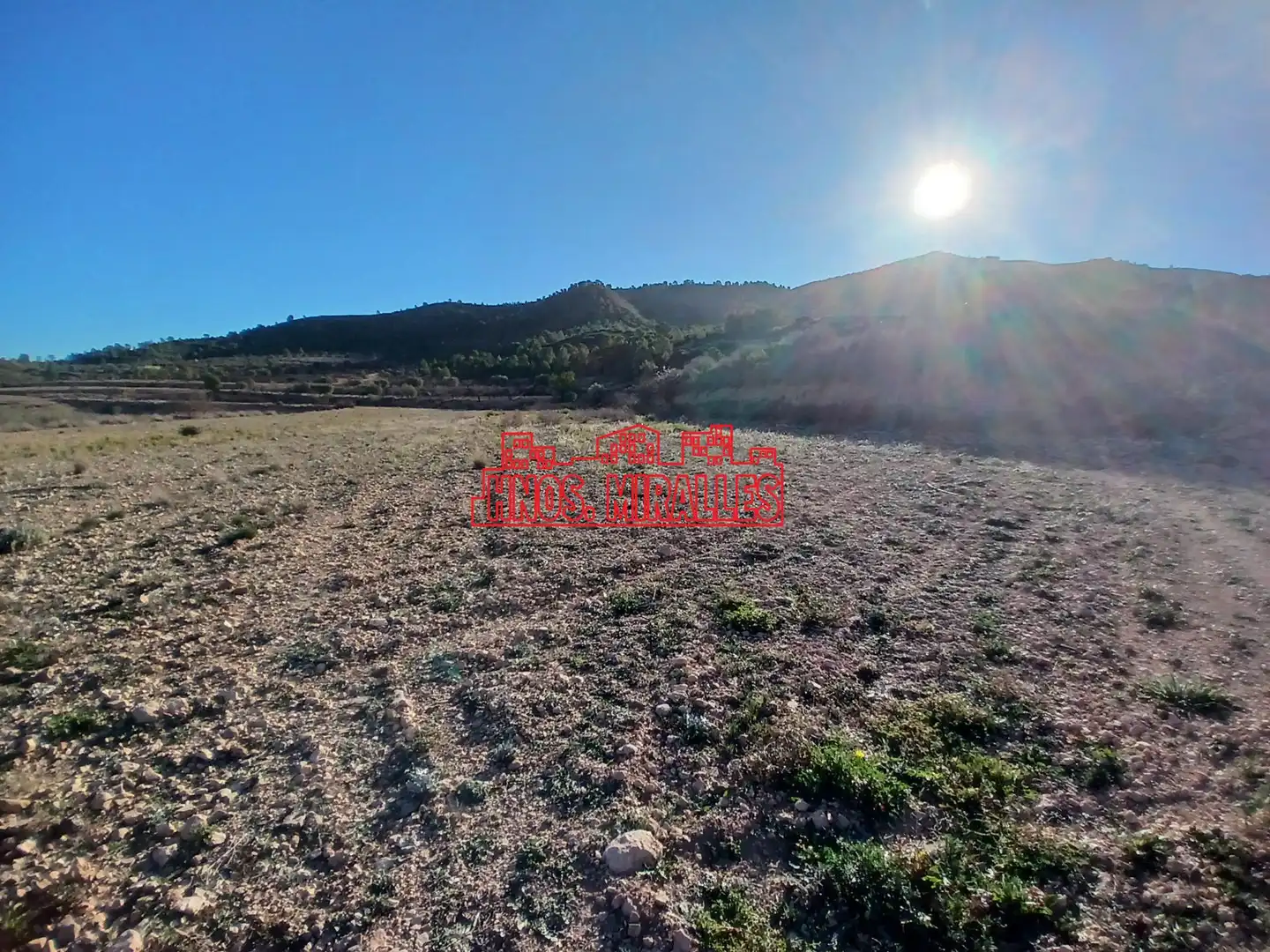 Terreno residenziale in vendita a Hondón de los Frailes, imagen 4