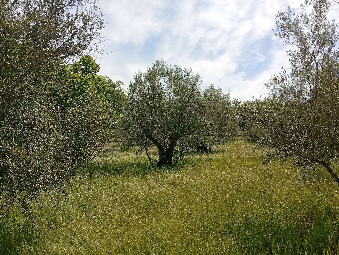 Terreni e lotti in vendita a Villanueva de la Vera, imagen 58