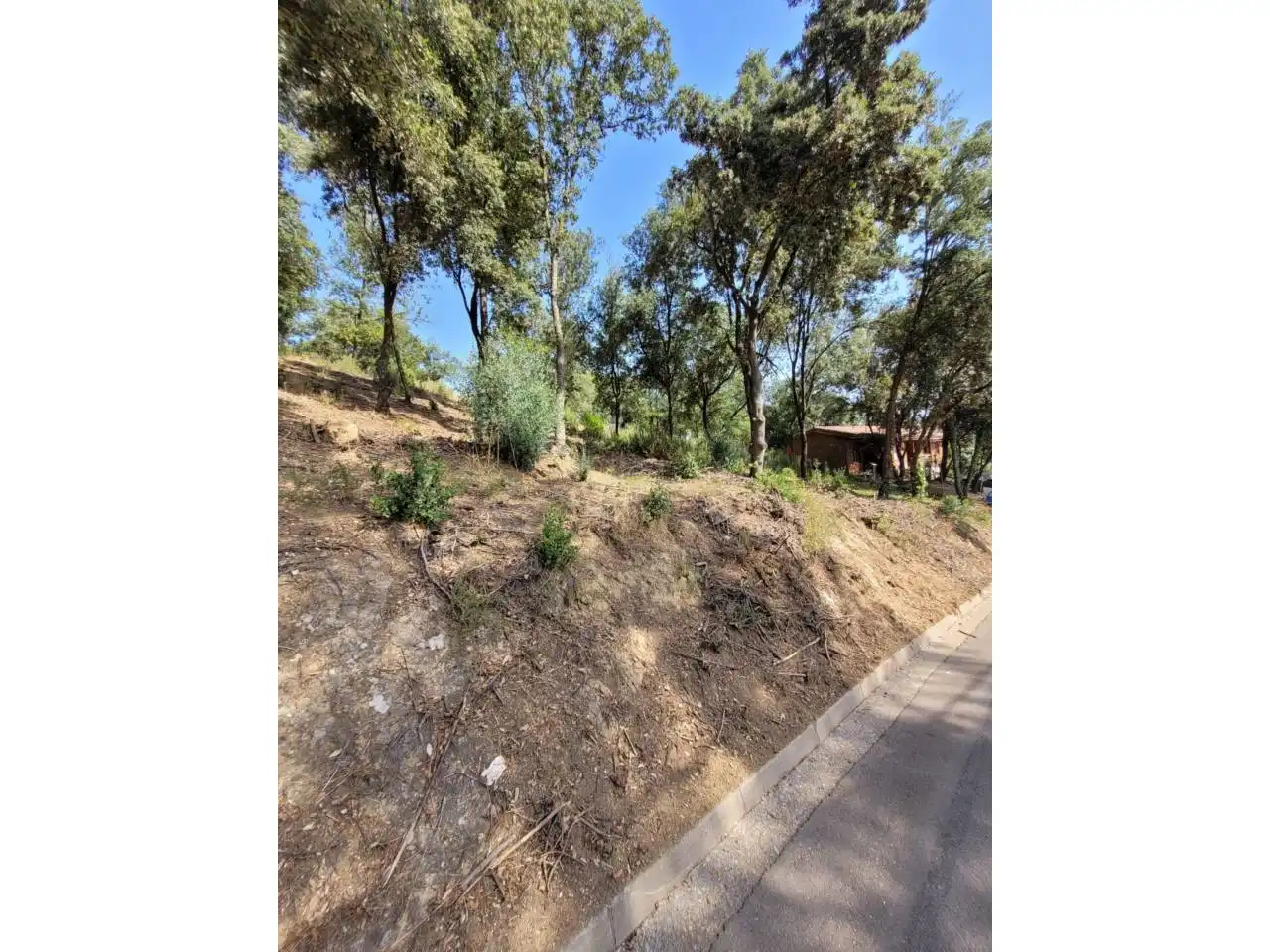 Terreny rústic en venda a El Racó - Sant Feliu del Racó, imagen 7