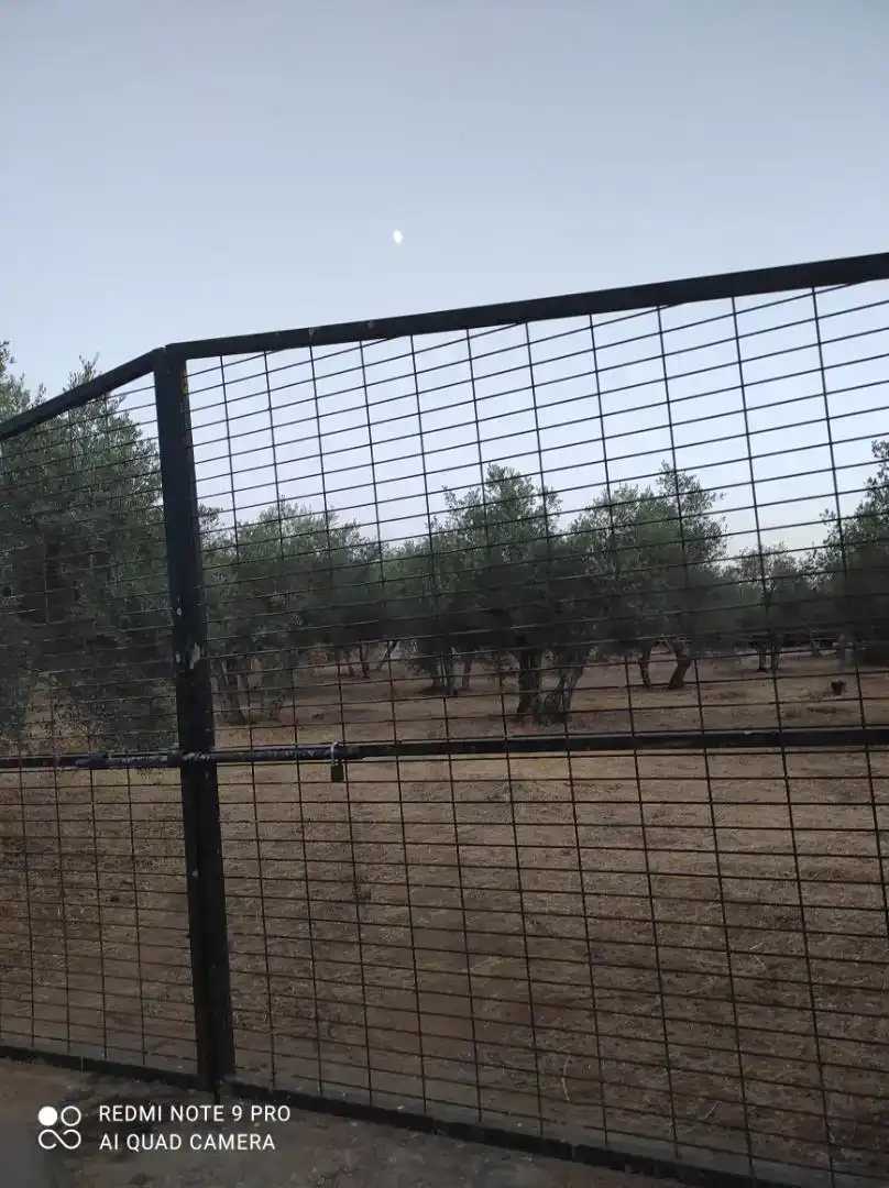 Land for sale in Alanís