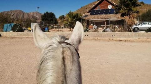 Photo 3 of House or chalet for sale in La Murada - Los Vicentes, Orihuela