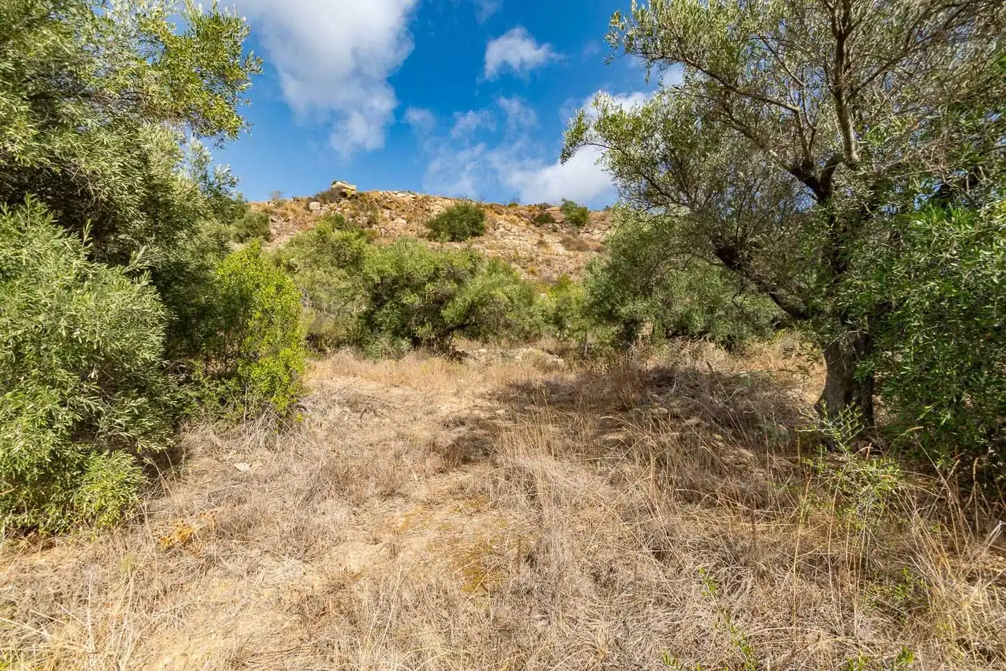 Terreno rústico en venta en Torrox Pueblo, imagen 19