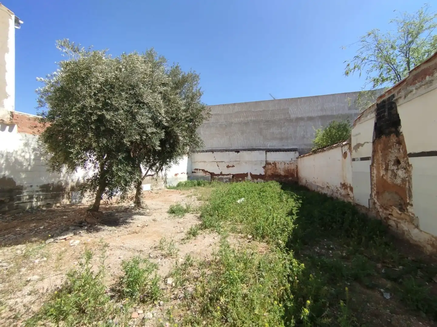 Terreny residencial en venda a Calle Melilla, imagen 7