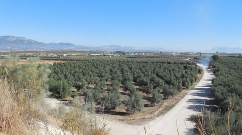 Foto 2 de Terreno en venta en Moraleda de Zafayona, Granada