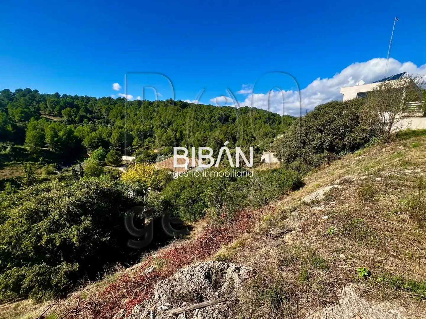 Terreno en venta en Almoster
